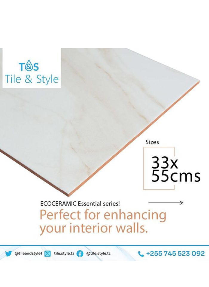 Tile & Style – Tiles and Sanitary Ware in Dar es salaam - Tanzania – WhizzTanzania