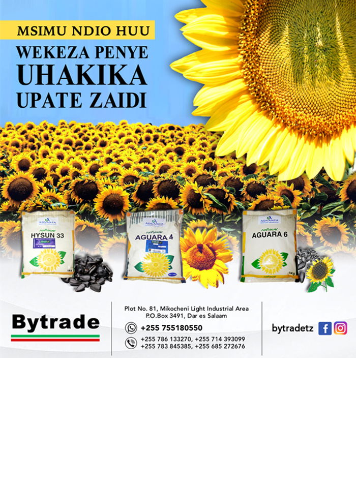 Bytrade Tanzania Limited in Dar es salaam - Tanzania – WhizzTanzania