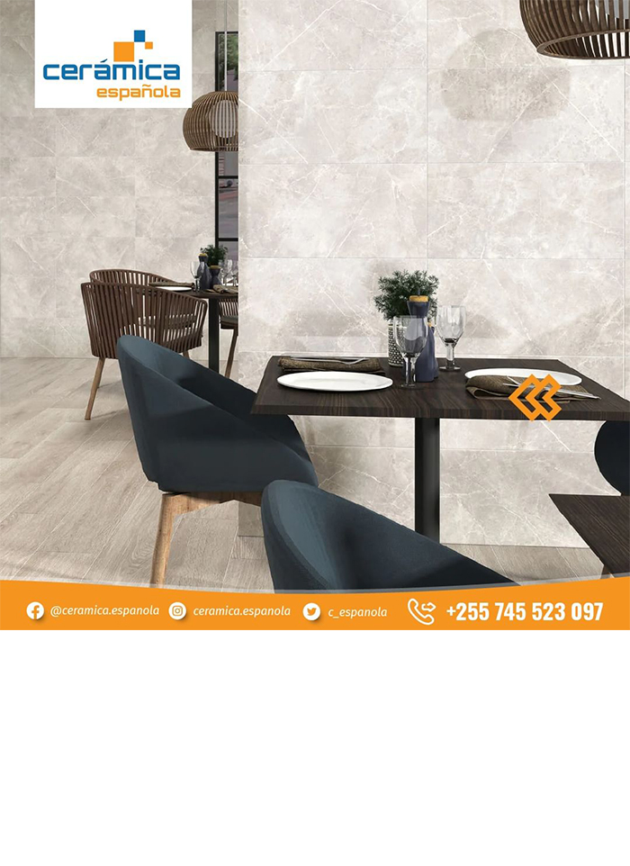 Ceramica Espanola – Tiles & Sanitary Wares in Dar es Salaam - Tanzania – WhizzTanzania