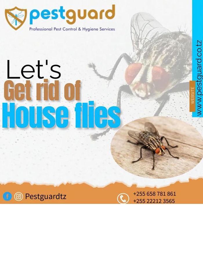 Pest Guard in Dar es salaam - Tanzania – WhizzTanzania