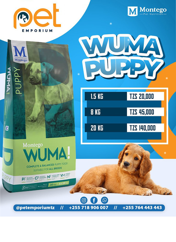 Pet Emporium in Dar es salaam - Tanzania – WhizzTanzania