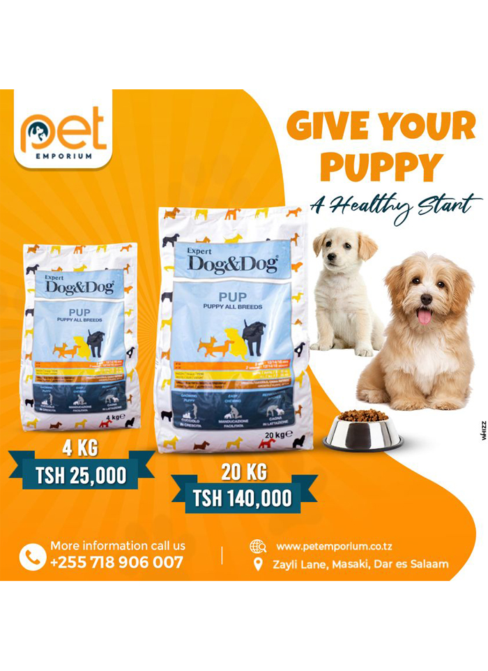 Pet Emporium in Dar es salaam - Tanzania – WhizzTanzania