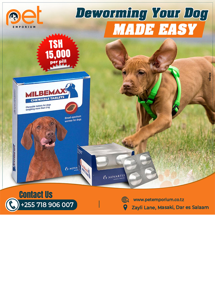 Pet Emporium dar es salaam pet food in dar es salaam pet store in dar es salaam WhizzTanzania