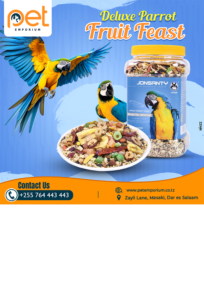 Pet Emporium in Dar es Salaam - Tanzania – WhizzTanzania