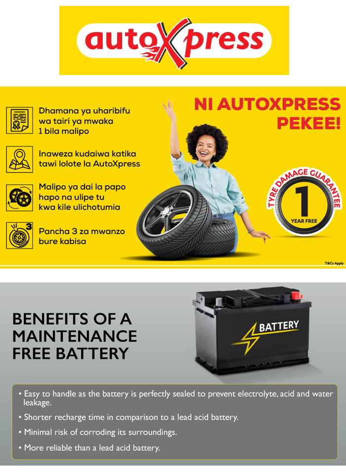 AutoXpress automotive dealer and servicing in Dar es Salaam - Tanzania – WhizzTanzania