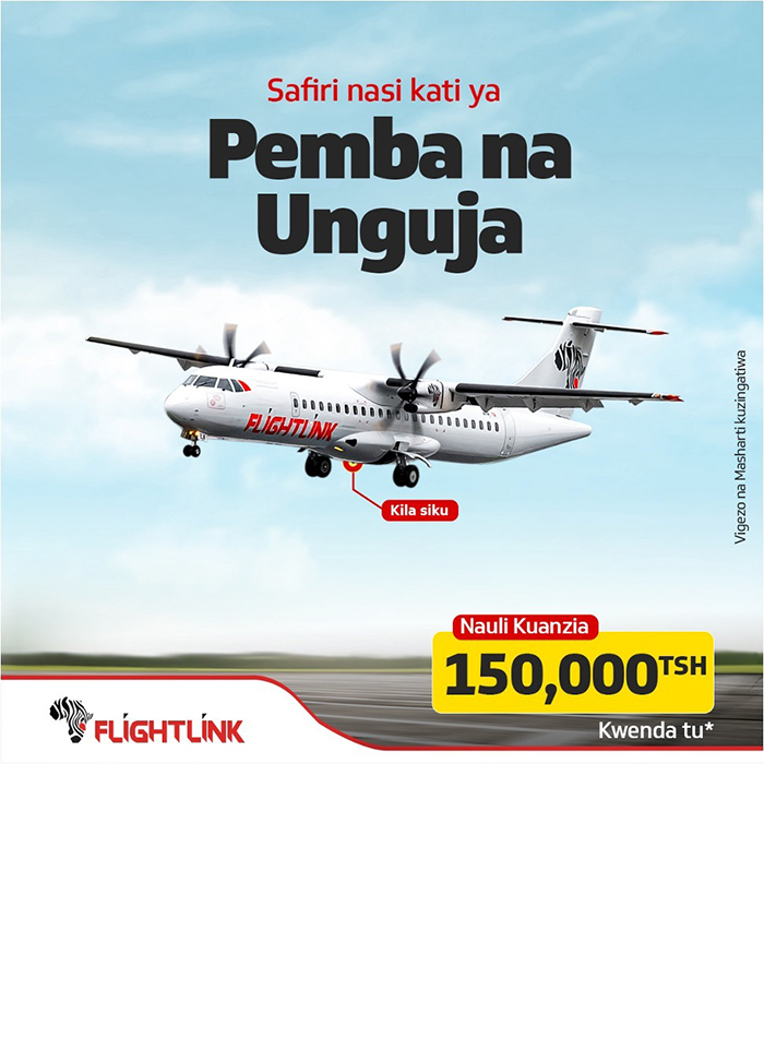 Flightlink airlines in Dar es Salaam - Tanzania – WhizzTanzania