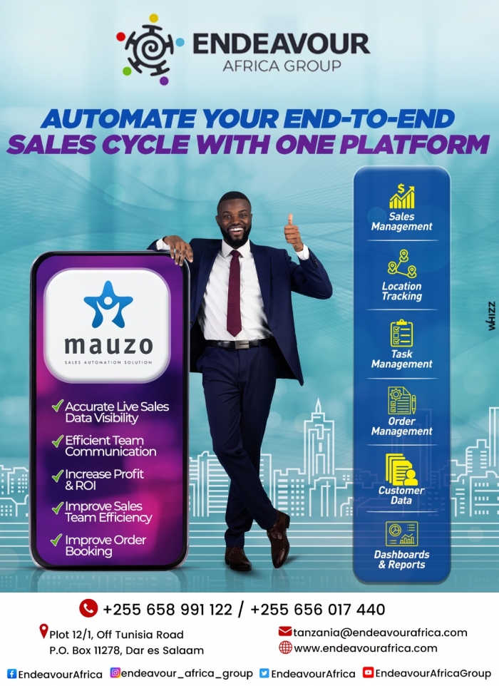 Endeavour Software Solutions in Dar es salaam - Tanzania – WhizzTanzania