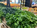 Cilantro in Dar es Salaam – Fresh Produce – Fruits & Vegetables Shop – Dairy Products – Spices and Nuts – Cold Pressed Oils – Fresh Juices – Fresh Smoothies - Tanzania – WhizzTanzania